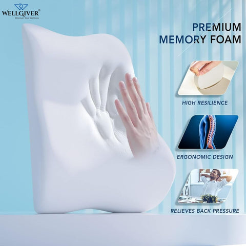 WELLGIVER Orthopedic Large Back Support Cushion