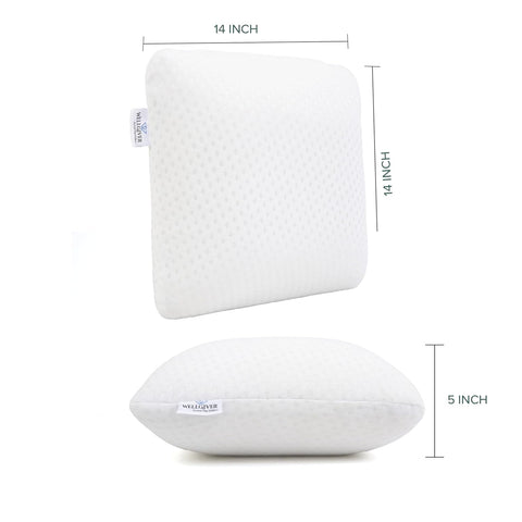 WELLGIVER Memory Foam Square Cushion (Pack of 2)